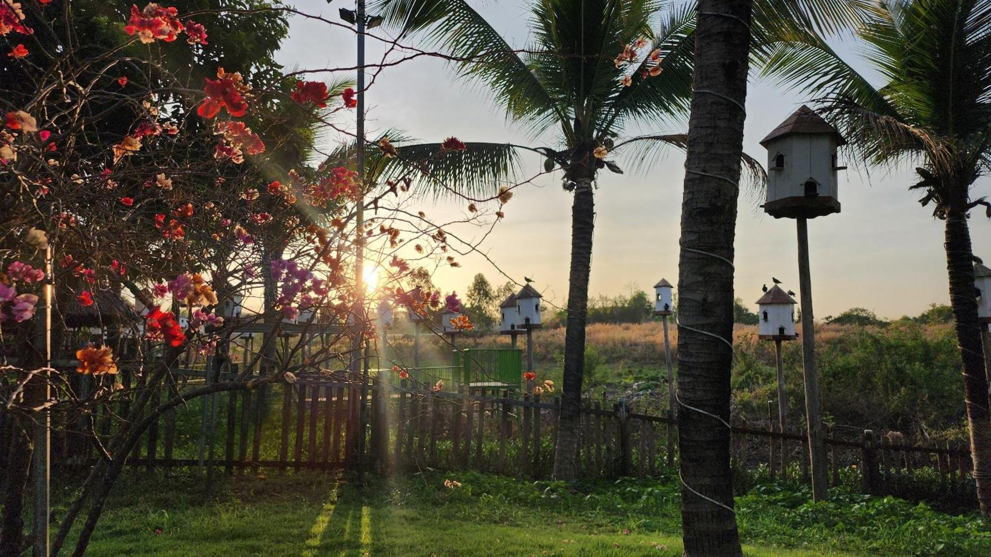 Dat Rong Dinh Gia Trang با ريا المظهر الخارجي الصورة